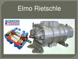 elmo rietschle