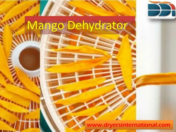 mango dehydrator