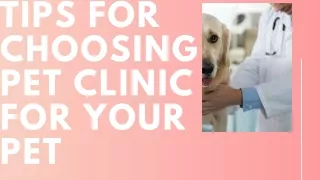 tips for choosing pet clinic for your pet