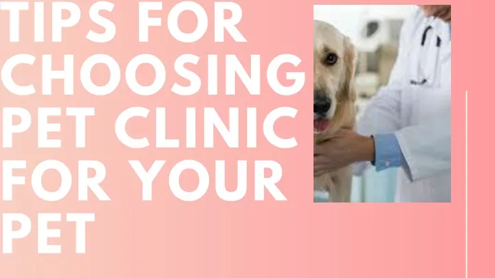 tips for choosing pet clinic for your pet