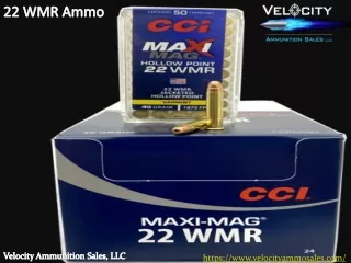 22 wmr ammo