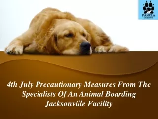 4th July Precautionary Measures From The Specialists Of An Animal Boarding Jacksonville Facility