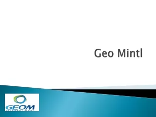 geo mintl