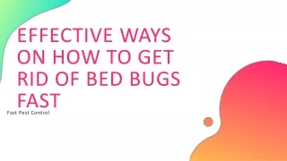 Effective Ways On How to Get Rid of Bed Bugs Fast