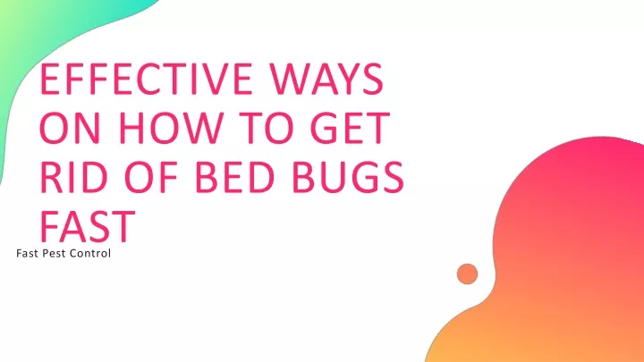 effective ways on how to get rid of bed bugs fast