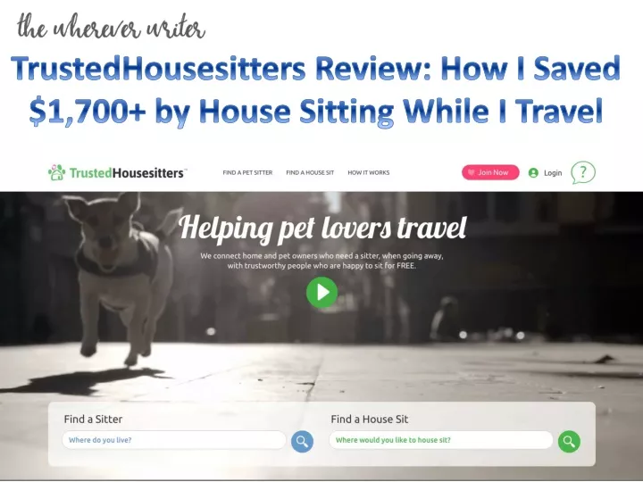 trustedhousesitters review how i saved