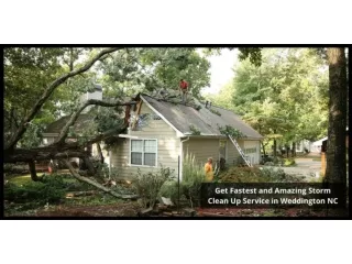 GET FAST AND AMAZING STORM CLEAN UP SERVICE IN WEDDINGTON NC