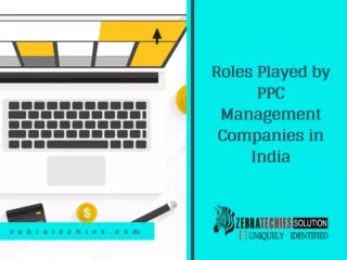 Roles Played by PPC Management Companies in India