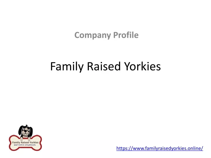 family raised yorkies