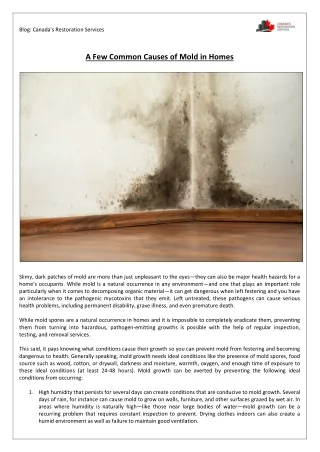 A Few Common Causes of Mold in Homes
