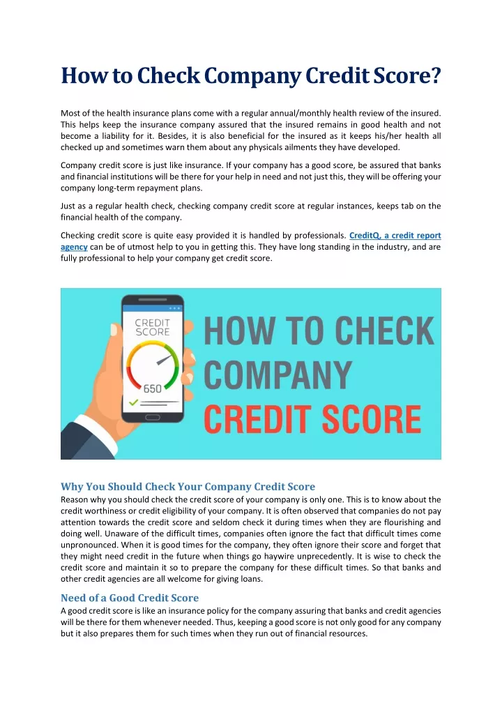 how to check company credit score