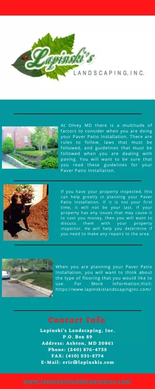 at olney md there is a multitude of factors