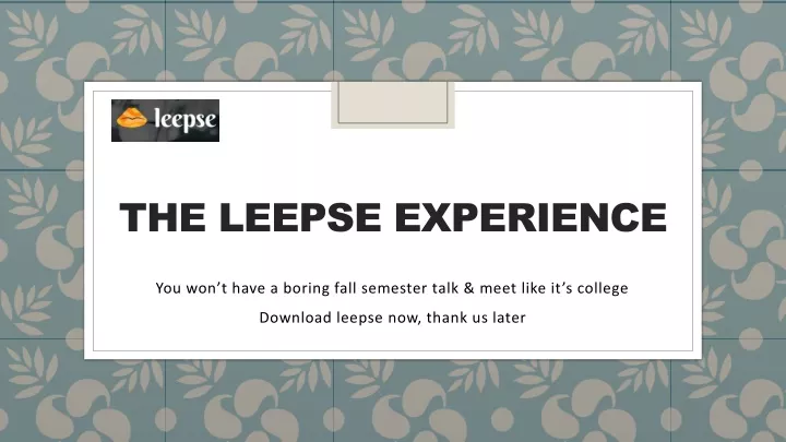 the leepse experience