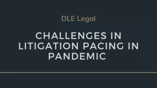 Challenges in Litigation Pacing in Pandemic - DLE Legal