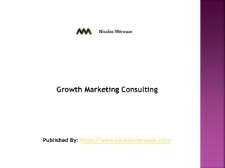 Growth Marketing Consulting