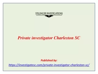 Private investigator Charleston SC
