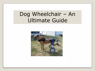 Dog Wheelchair – An Ultimate Guide