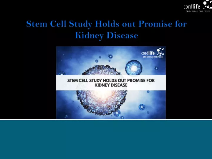 stem cell study holds out promise for kidney disease