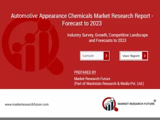 automotive appearance chemicals market research