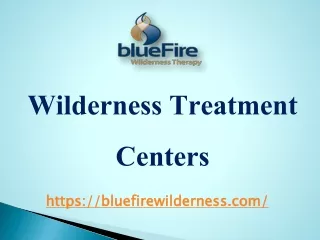 Our Best Wilderness Treatment Centers At www.bluefirewilderness.com