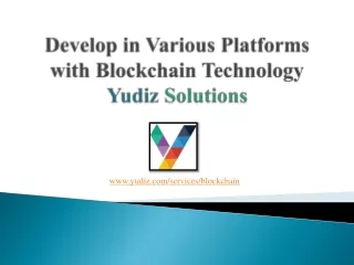 Develop in Various Platform with Blockchain Technology | Yudiz Solutions