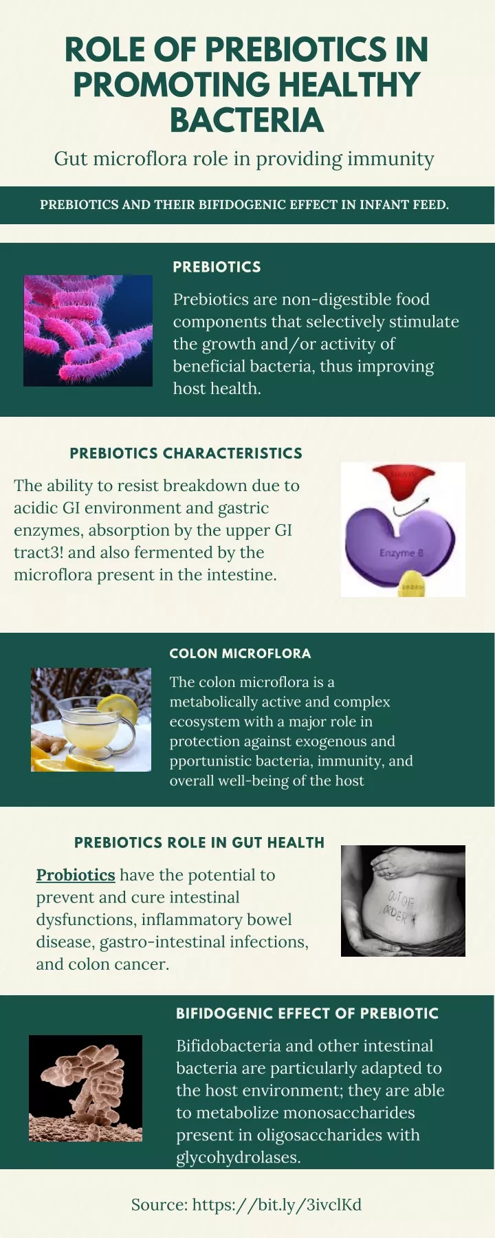 role of prebiotics in promoting healthy bacteria