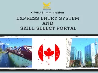 xiphias immigration