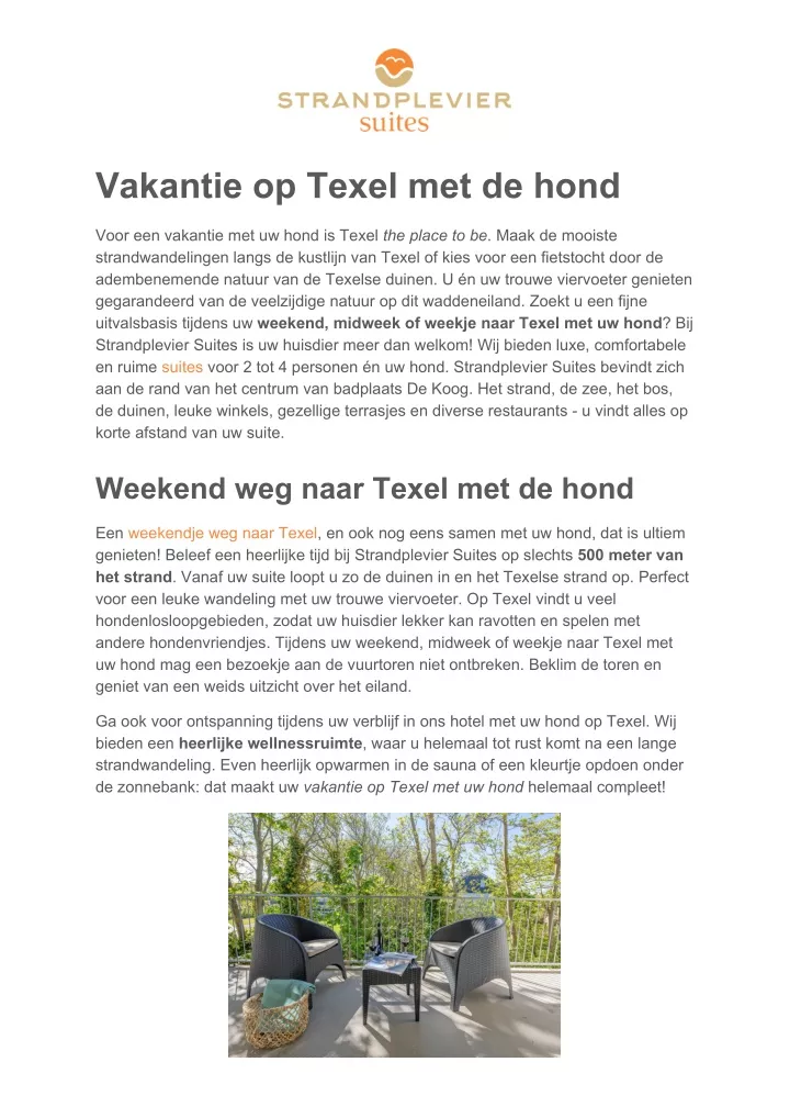 vakantie op texel met de hond