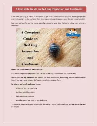 A Complete Guide on Bed Bug Inspection and Treatment