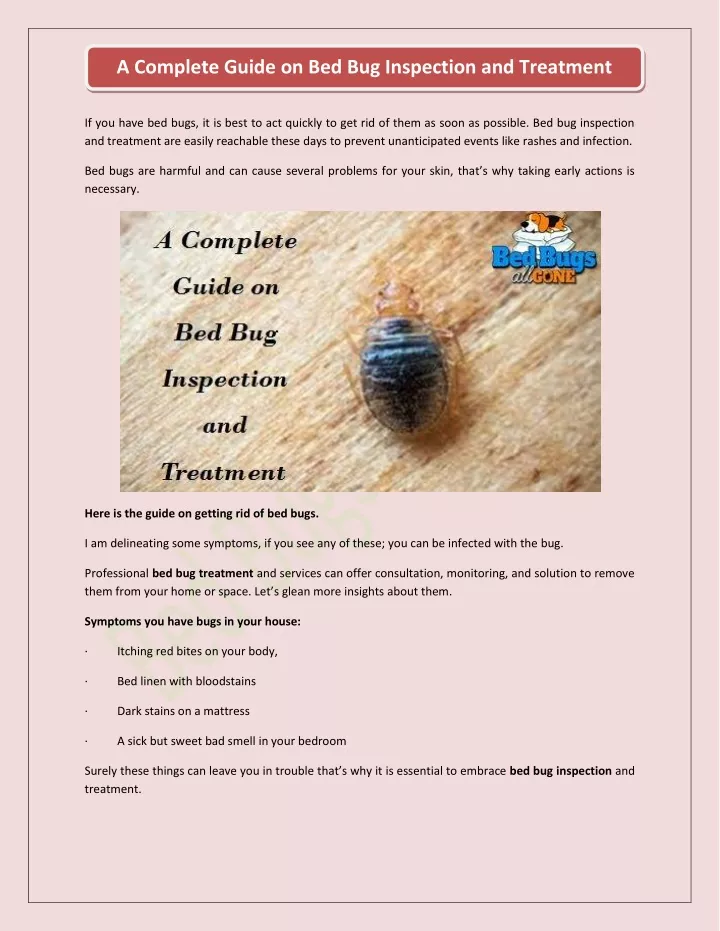 a complete guide on bed bug inspection