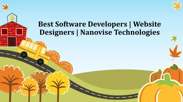 best software developers website designers nanovise technologies