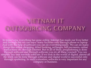 vietnam it outsourcing company