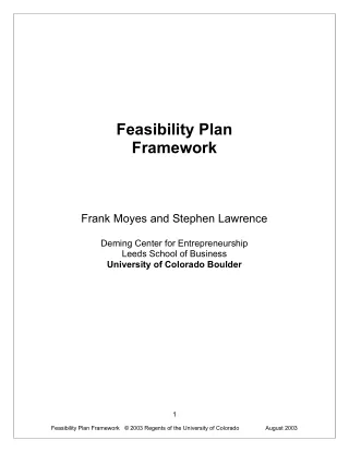 feasibility plan framework