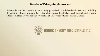 Benefits of Psilocybin Mushrooms