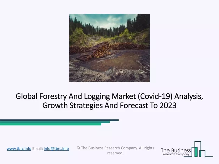 global forestry and logging market global