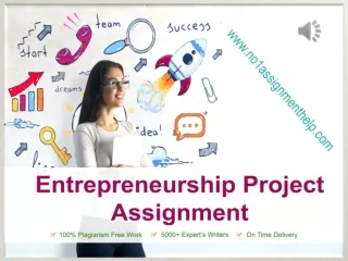 Entrepreneurship Project Assignment Help By Experts