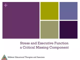 Stress and Executive Function 2020