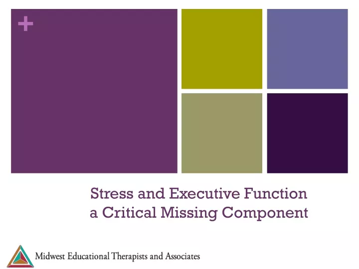 stress and executive function a critical missing component