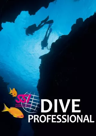 SSI-DiveProfessional