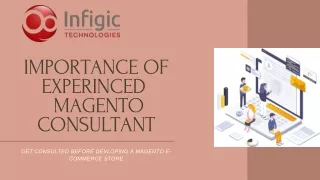 Importance of hiring expert Magneto Consultant