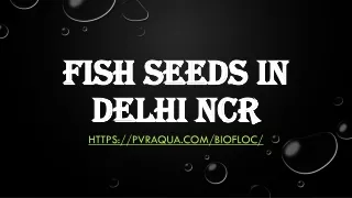 Fish Seeds in Delhi NCR