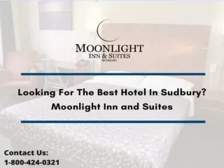 Looking For The Best Hotel In Sudbury Moonlight Inn and Suites?