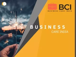 Business Care India - One-Stop Solution for All Kinds of Business Pain