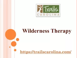 Wilderness Therapy Offered By Trails Carolina