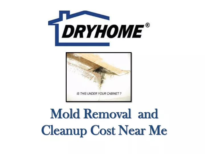 mold removal and cleanup cost near me