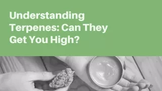 Can Cannabis Terpenes Get You High?