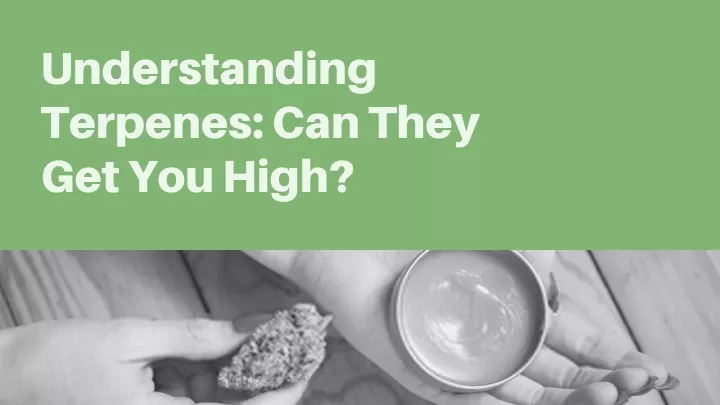understanding terpenes can they get you high