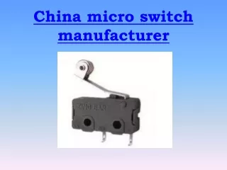 China micro switch manufacturer