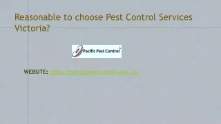 Pest Control Service in Victoria - Pacific Pest Control