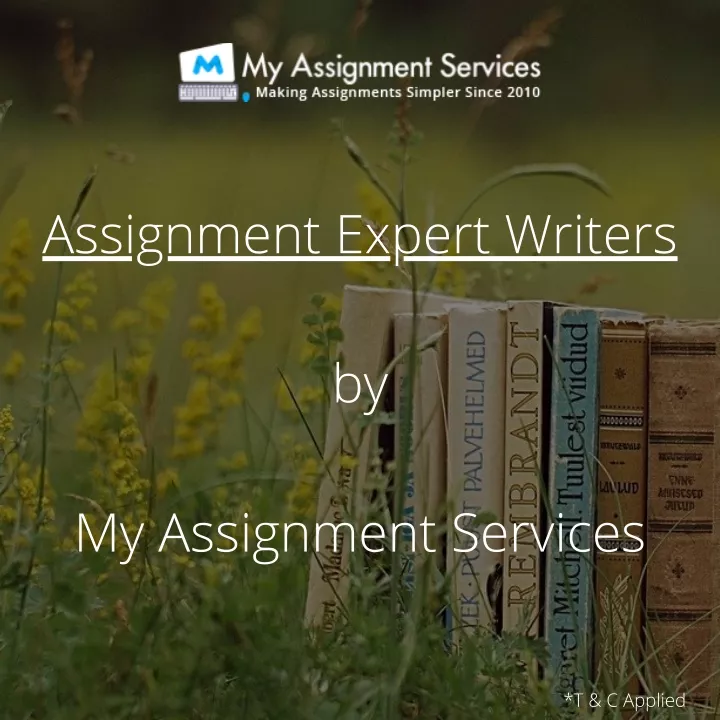 assignment expert writers